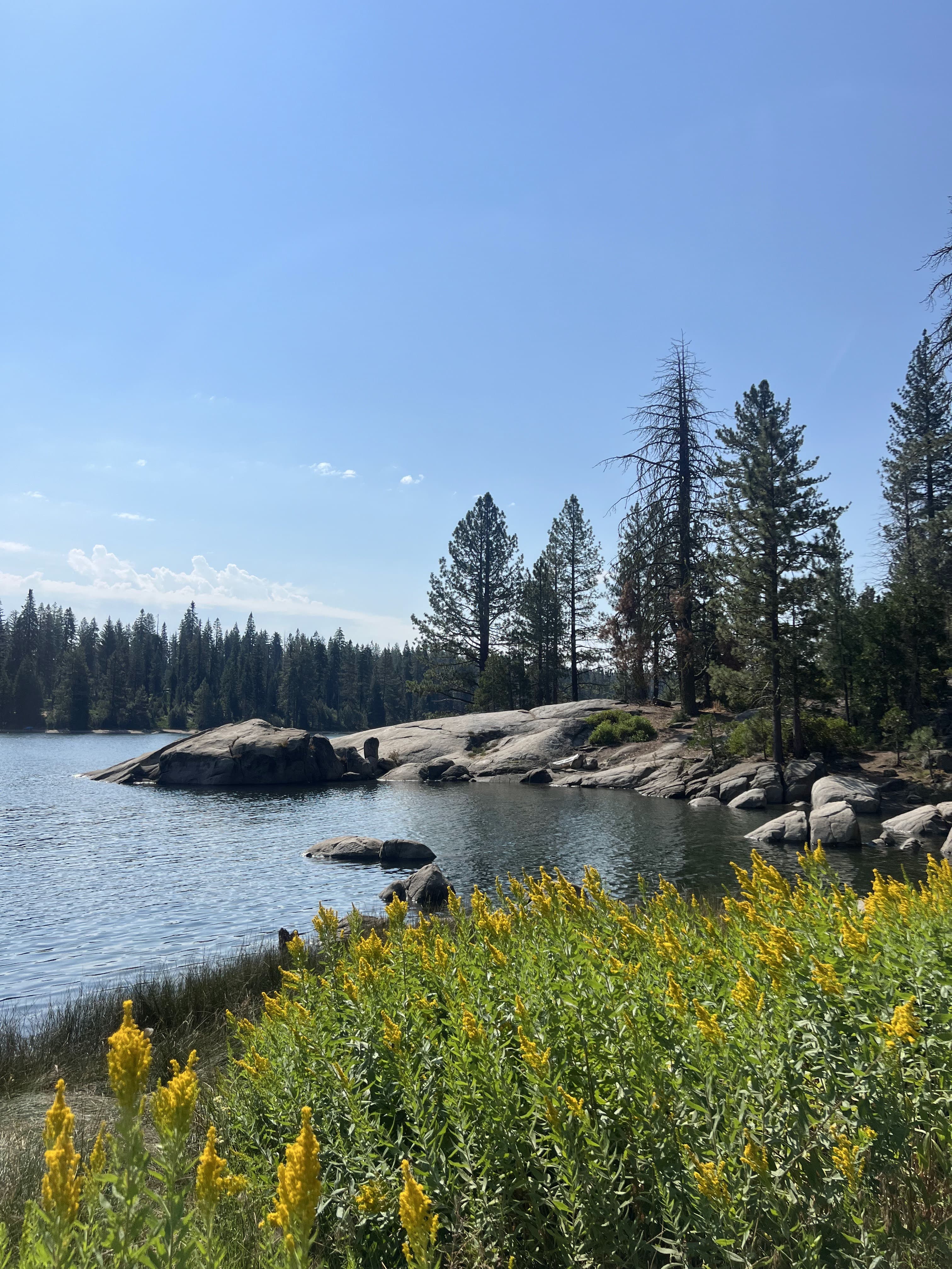 Shaver Lake Album Picture 3